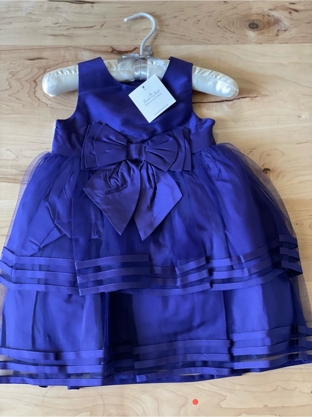 Janie and Jack Special Occasion Silk Dress – 12–18 Months – NWT